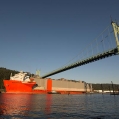 largest-floating-dock-delivery-gallery-02